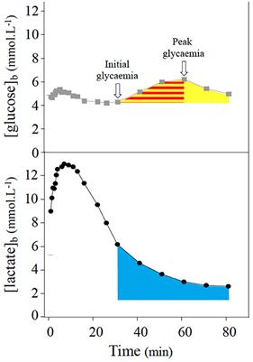 Delayed Rebound of Glycemia During Recovery Following Short-Duration High-Intensity Exercise: Are There Lactate and Glucose Metabolism Interactions?